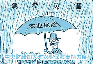中央財(cái)政加大對農(nóng)業(yè)保險(xiǎn)支持力度