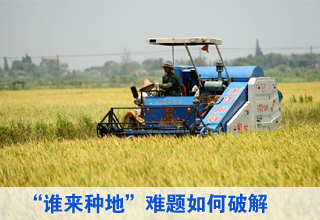 中國加速培育新型職業農民破解“誰來種地”難題