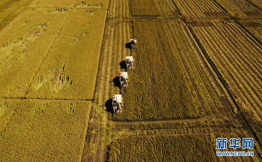 (新華全媒頭條·圖文互動)(5)紅色的傳承,藍圖的起點——新中國孕育與發(fā)展的“東北記憶”
