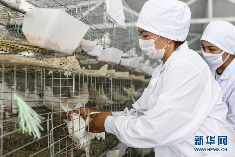 (決戰(zhàn)決勝扶貧攻堅·圖文互動)(5)凝心聚力奔小康——新疆南疆四地州脫貧攻堅成就綜述