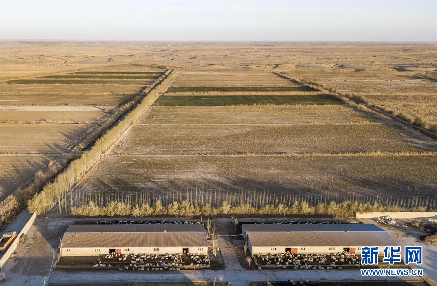 (新華全媒頭條·圖文互動)(8)大漠小城的絕地反擊