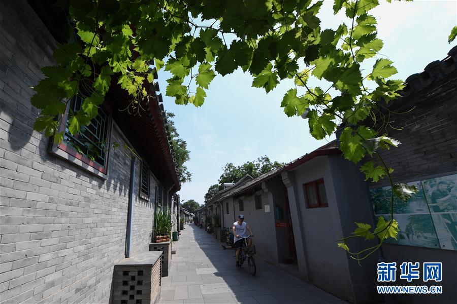 （走向我們的小康生活·圖文互動(dòng)）（1）小橋、流水、書(shū)香、人家——老北京胡同里的恬靜棲居