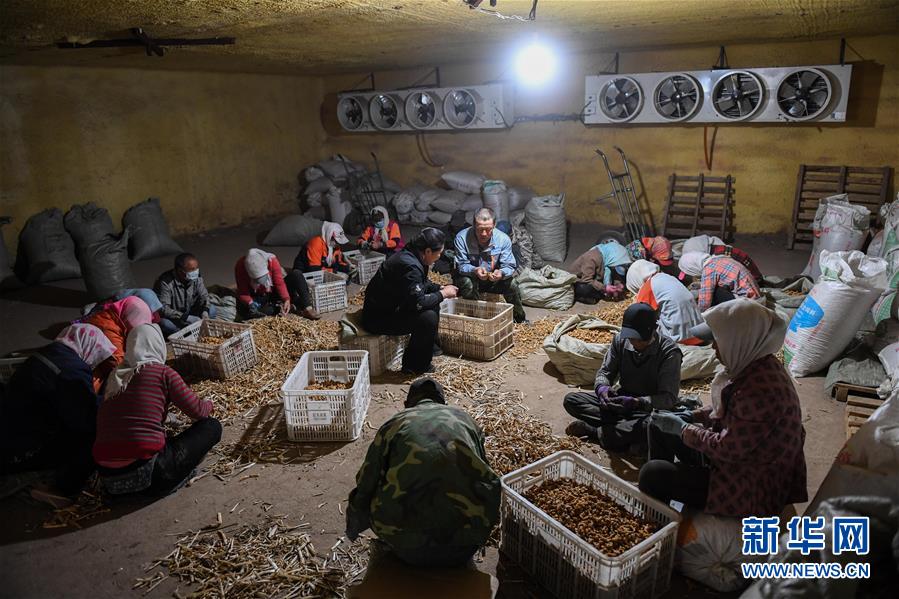 （習近平的小康故事·圖文互動）（8）“我很期盼的一件事，就是讓鄉親們飽餐一頓肉”——習近平和脫貧攻堅的故事