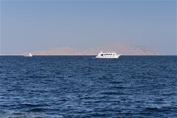 埃及總統批準向沙特“還島”協議