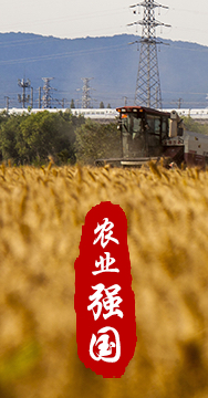 農(nóng)業(yè)強(qiáng)國(guó)是社會(huì)主義現(xiàn)代化強(qiáng)國(guó)的根基。