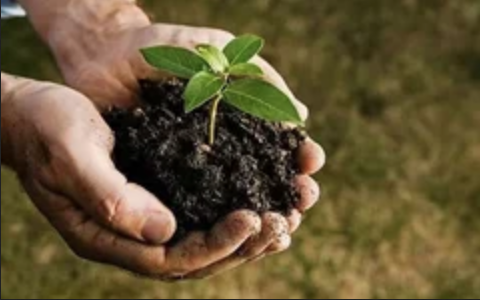 打造更好的“植物醫(yī)生”