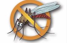 夏季，常見(jiàn)蚊蟲(chóng)如何應(yīng)對(duì)