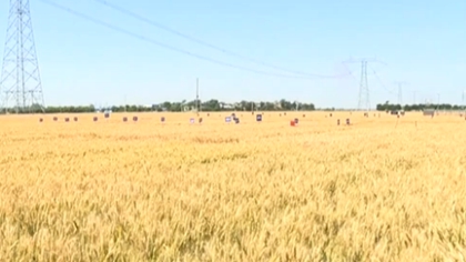 陜西：智能平臺助力夏收 實現農機資源共享