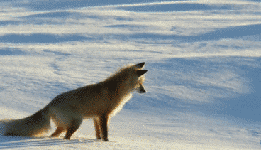寒潮再襲 網友靈魂拷問：這么冷為何還不下雪？
